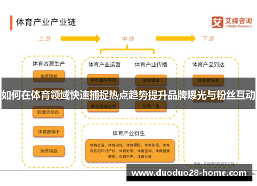 如何在体育领域快速捕捉热点趋势提升品牌曝光与粉丝互动